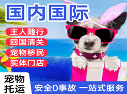 乌海空运代理国际宠物托运 【国
